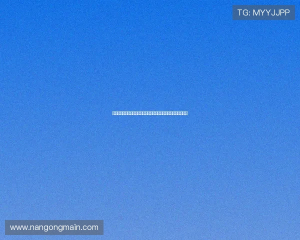 和睦法兰克福俱乐部最新动态分析：球员转会、教练策略与赛季目标