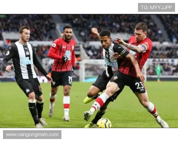 北京联赛各队实力全面解析与最新排名走势分析