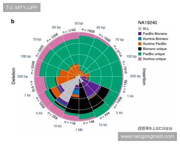 体育竞技表现的技术数据解析与训练优化研究